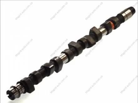 Розподільний вал, 2.5TDI AE CAM442