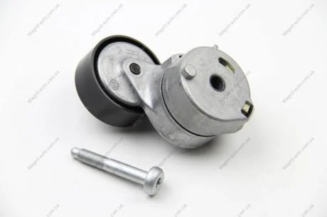 Натяжная планка, поликлиновой ремень FIAT 46819146, 51821652 INA 534 0607 10