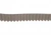 Ремкомплект ГРМ + помпа DACIA/NISSAN/RENAULT Logan/Sandero/Almera/Quashqai/Kangoo "1,5dCi "01>> SKF VKMC 06134-2 (фото 3)