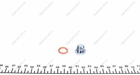 Пробка маслосливного отверстия с уплотнительным кольцом (FEBI) FEBI BILSTEIN 30968