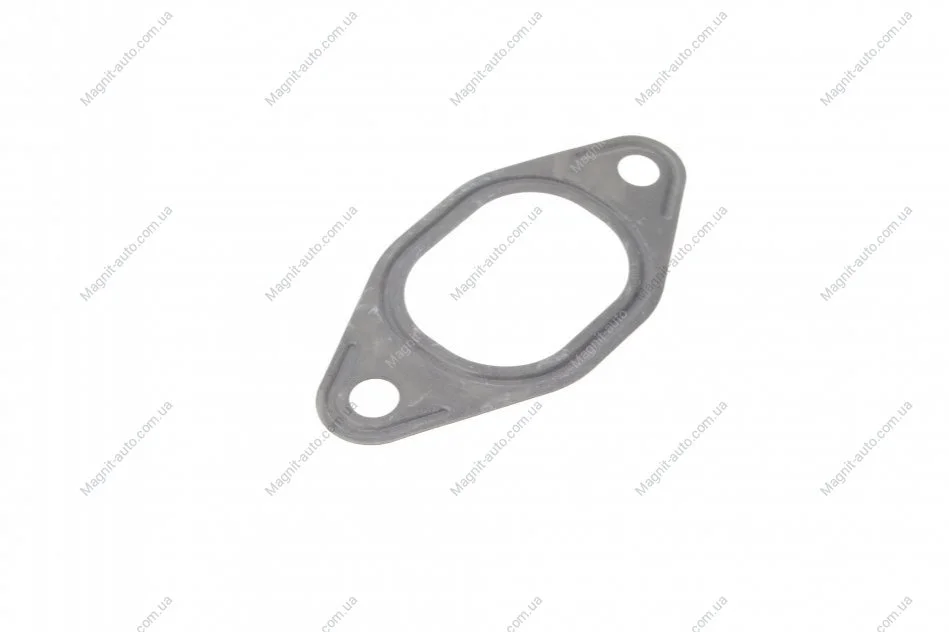 Прокладка впускного колектора OPEL/RENAULT/FIAT/IVECO 2,5TD 85-01 ELRING 481.320 (фото 1)