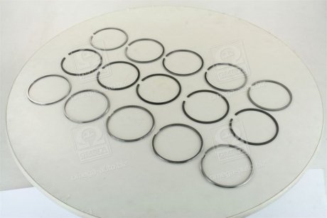 Кольца поршневые VAG 5 Cyl. 81,00 2,5 x 2,0 x 3,00 mm (SM) SM MVI 795041-00-5 (фото 1)