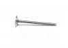 Клапан-INTAKE*8P/1.3-1.5SOHC Accent(LC) 99-06 (вироб-во PMC-ESSENCE) PARTS-MALL HCZA-002 (фото 1)