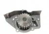Насос охолоджуючої рідини CITROEN BERLINGO, EVASION, XANTIA, PEUGEOT 205 / 206 / 309 / 405 406 1.6/1.8/1.9 10.82-10.04 INA 538 0103 10 (фото 5)