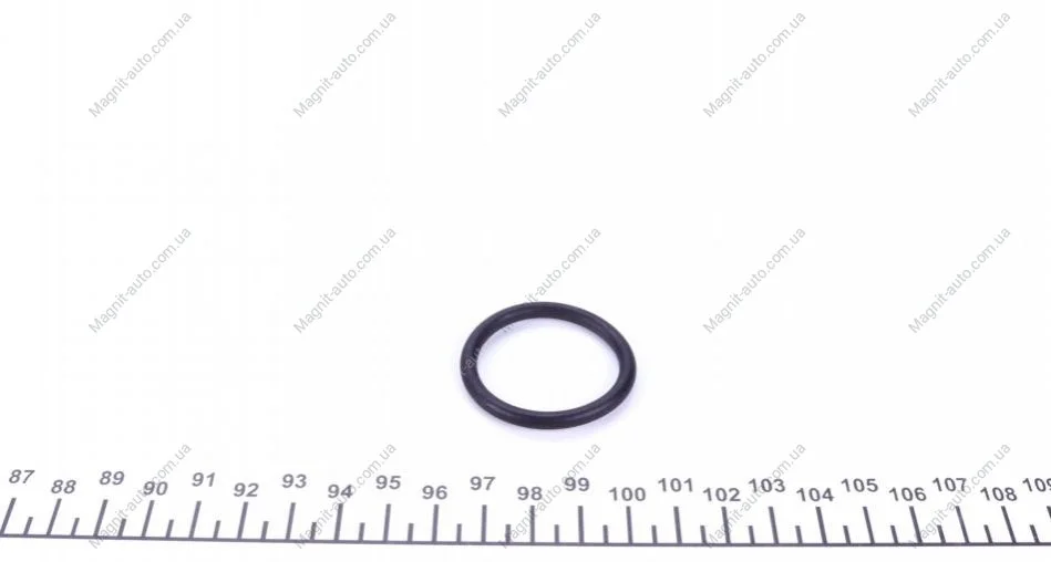 Уплотнительное кольцо FEBI BILSTEIN 29752 (фото 1)