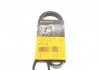 Поликлиновый ремень CHEVROLET MATIZ CITROEN BX, ZX DAEWOO MATIZ FIAT BRAVA, BRAVO I MAZDA MX-5 I MITSUBISHI PAJERO II, SANTAMO PEUGEOT 205 I, 205 II, 305 II, 309 I 1.0-3.0 10.82- Contitech 4PK954 (фото 1)