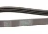Поликлиновый ремень CHEVROLET MATIZ CITROEN BX, ZX DAEWOO MATIZ FIAT BRAVA, BRAVO I MAZDA MX-5 I MITSUBISHI PAJERO II, SANTAMO PEUGEOT 205 I, 205 II, 305 II, 309 I 1.0-3.0 10.82- Contitech 4PK954 (фото 3)