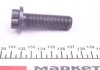 Болт коленчатого вала (с наружным и внутренним Torx) FEBI BILSTEIN 23042 (фото 2)