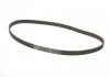 Комплект ГРМ + помпа, CHEVROLET Captiva, OPEL Frontera A/B/Omega B 2.4 06- Gates KP25461XS (фото 2)