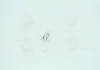 Лампа розжарювання W1,2w 12v 1,2w W2x4,6d (вир-во Narva) NARVA 17037CP (фото 2)