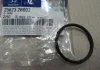 Уплотнительное кольцо корпуса термостата MOBIS 256232B000 (фото 1)