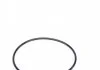 Водяний насос (Вир-во Magneti Marelli кор.код. WPQ1183) MAGNETI MARELLI 352316171183 (фото 7)