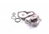 Водяний насос (пр-во Magneti Marelli кор.код. WPQ1046) MAGNETI MARELLI 352316171046 (фото 3)