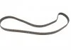 Ремкомплект ГРМ ALFA/FIAT/OPEL/SAAB 147/159/GrandePunto/Astra/Signum/Vectra/Zafira/9-3 "1,9D "04>> SKF VKMA 02192 (фото 5)