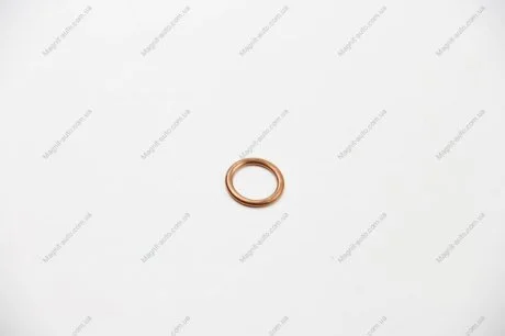 Прокладка сливной горловины 16X22X2 ELRING 813.052