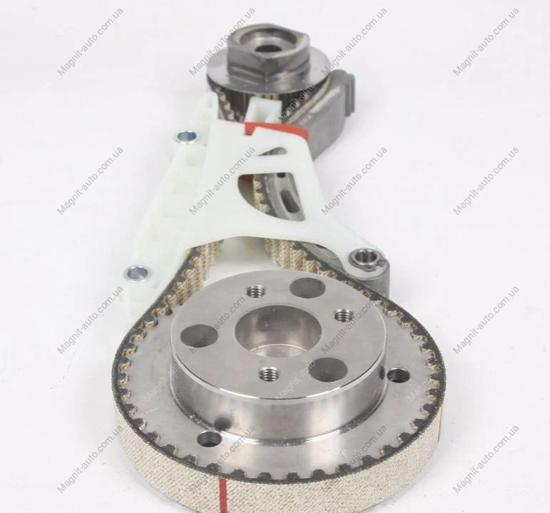 Ремкомплект ГРМ FORD C-Max/Focus/Mondeo/TransitConnect "1,8TDCI "02-15 DAYCO KBIO01 (фото 1)