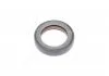 Сальник двигателя N/FRONT VAG 32X47X10 PTFE (произ-во PAYEN) Payen NA5124 (фото 1)
