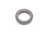Сальник двигателя N/FRONT VAG 32X47X10 PTFE (произ-во PAYEN) Payen NA5124 (фото 2)