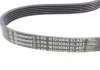 Ремкомплект приводного ремня (Пр-во ContiTech) Contitech 6PK1019 ELAST T1 (фото 8)