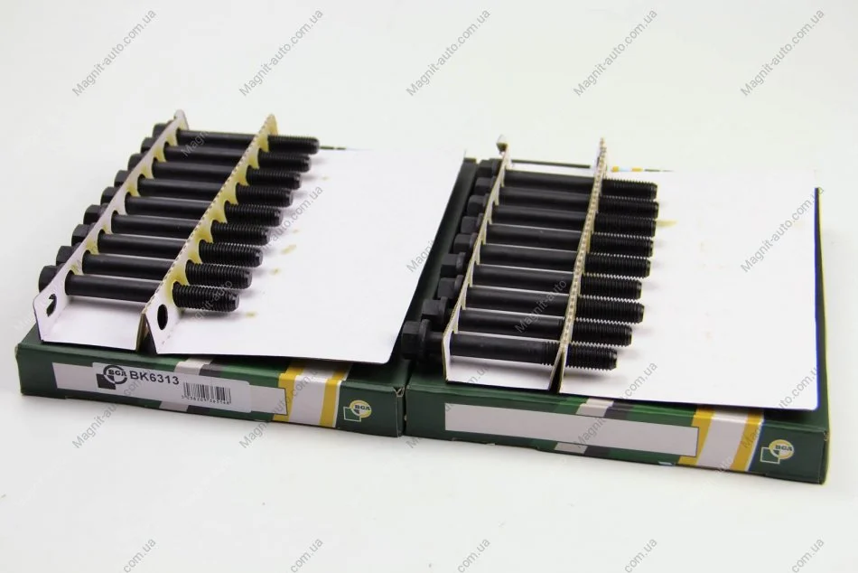 Комплект болтов двигателя с шестигранной головкой BGA BK6313 (фото 1)