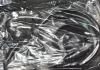 Прокладка FULL HYUNDAI D4BH (вир-во, Korea) PARTS-MALL PFA-G060 (фото 1)