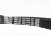 Поликлиновый ремень (6PK1050) AUDI A3 OPEL ASTRA H, ASTRA H GTC, SIGNUM, VECTRA C, VECTRA C GTS, ZAFIRA B SEAT ALHAMBRA, ALTEA, ALTEA XL, INCA, LEON, TOLEDO III 1.7D/1.9D/2.0D 11.95-07.15 DAYCO 6PK1050S (фото 2)