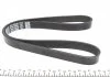 Поликлиновый ремень (6PK1050) AUDI A3 OPEL ASTRA H, ASTRA H GTC, SIGNUM, VECTRA C, VECTRA C GTS, ZAFIRA B SEAT ALHAMBRA, ALTEA, ALTEA XL, INCA, LEON, TOLEDO III 1.7D/1.9D/2.0D 11.95-07.15 DAYCO 6PK1050S (фото 3)