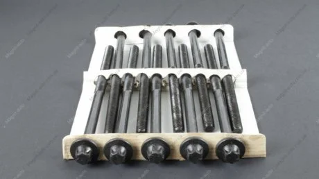 Комплект болтів двигуна з фігурною головкою AJUSA 81044400