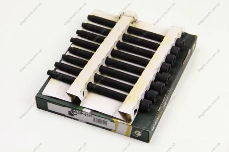 Комплект болтів двигуна з фігурною головкою BGA BK4381