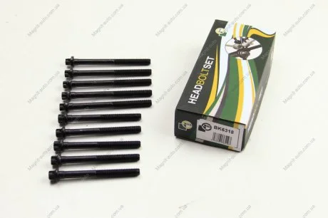Комплект болтів двигуна з фігурною головкою BGA BK6318