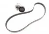 Ремкомплект приводного ремня DACIA/NISSAN/RENAULT "1,4-1,6 "01>> SKF VKMA 36055