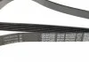 Ремінь генератора поліклиновий DAYCO 6PK2203 (фото 2)