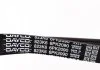 Ремень поликлиновый DAYCO 6PK2090 (фото 3)