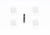 Кольцо форсунки с o-сечением BOSCH F 00V C38 100 (фото 4)
