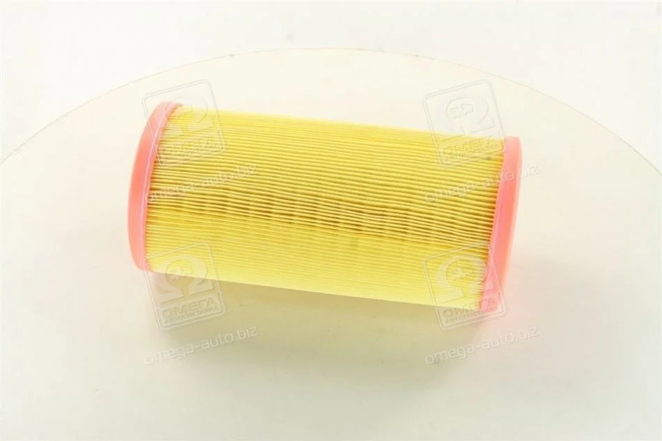 Фильтр воздушный RENAULT (произ-во M-Filter) M-FILTER A109 (фото 1)