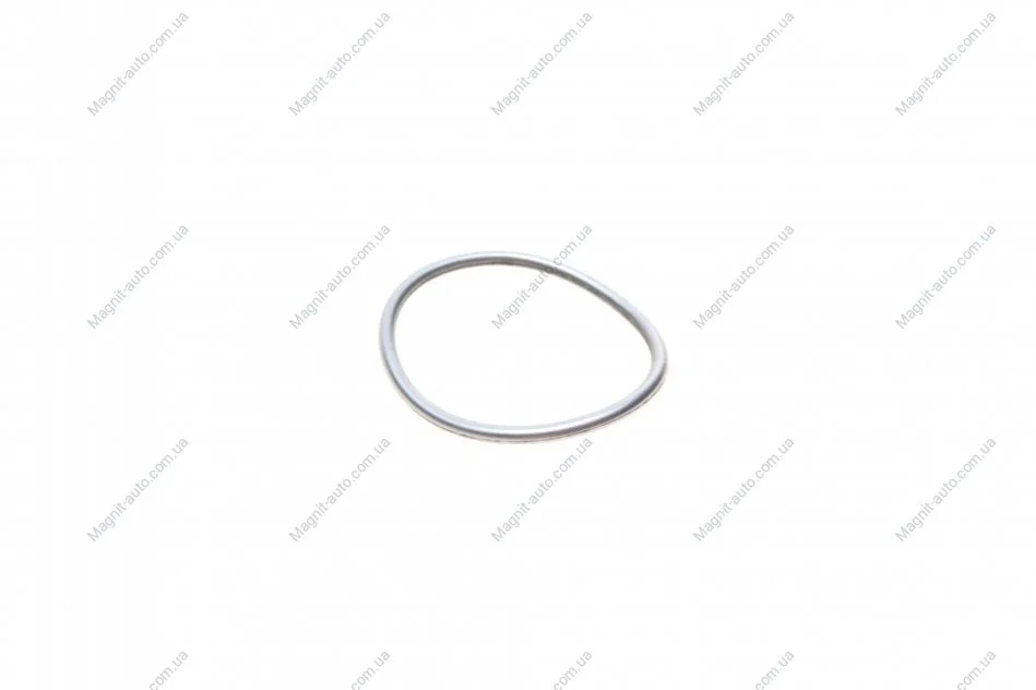 Уплотнительное кольцо BOSCH F 01M 100 114 (фото 1)
