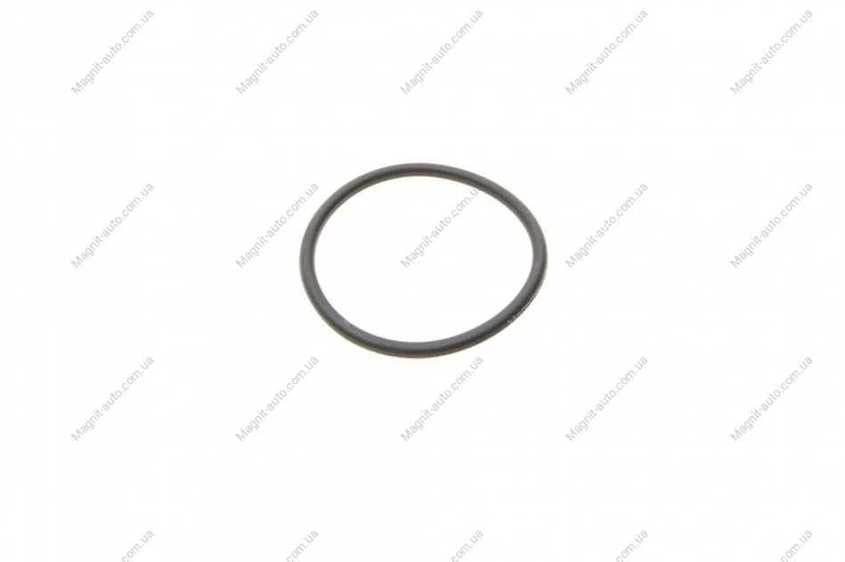 Кольцо уплотнительное BOSCH F 00R 0P0 166 (фото 1)