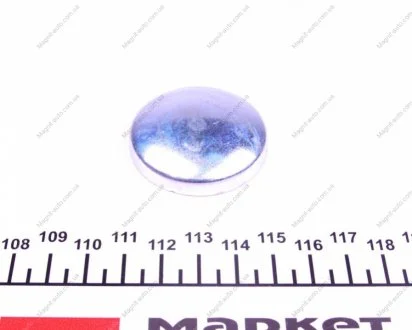 Заглушка блока VAG d 42,3mm (FEBI) FEBI BILSTEIN 31794