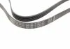 Ремень п-клиновый 6pk1760 (произ-во Bosch) BOSCH 1 987 946 037 (фото 2)