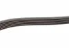 Ремень п-клиновый 6pk1760 (произ-во Bosch) BOSCH 1 987 946 037 (фото 3)