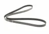 Ремень поликлиновый 6PK1830, 1.9 dCi 01-06 BOSCH 1 987 946 031 (фото 2)