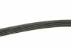 Ремень поликлиновый 6PK1830, 1.9 dCi 01-06 BOSCH 1 987 946 031 (фото 3)