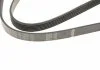 Ремень поликлиновый 6PK1830, 1.9 dCi 01-06 BOSCH 1 987 946 031 (фото 4)