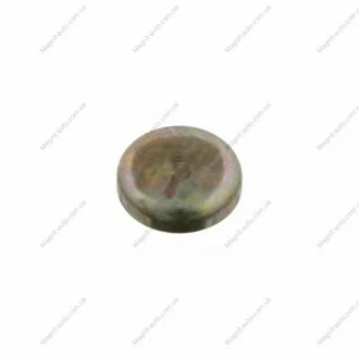 Заглушка блока VAG d 24mm (FEBI) FEBI BILSTEIN 08390