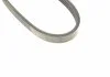 Ремень П-клиновый 4PK954 BOSCH 1 987 947 808 (фото 6)