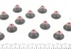 Комплект прокладок ГБЦ RENAULT Clio,Megane,Laguna,Logan,Scenic 1,4-1,6 97- VICTOR REINZ 02-31675-01 (фото 6)