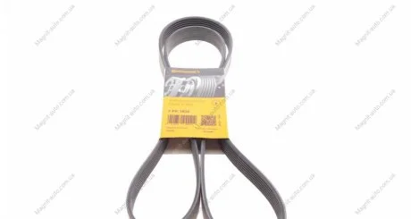 Ремінь генератора поліклиновий Contitech 7PK1834