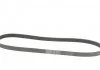 Поліклиновий ремінь CHRYSLER GRAND VOYAGER III, VOYAGER III DODGE CARAVAN 2.5D 01.95-03.01 Contitech 7PK1400 (фото 5)