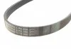 Пас поликлиновый Toyota Yaris 1.0 10- Contitech 6PK880 (фото 2)