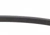 Пас поликлиновый Toyota Yaris 1.0 10- Contitech 6PK880 (фото 3)